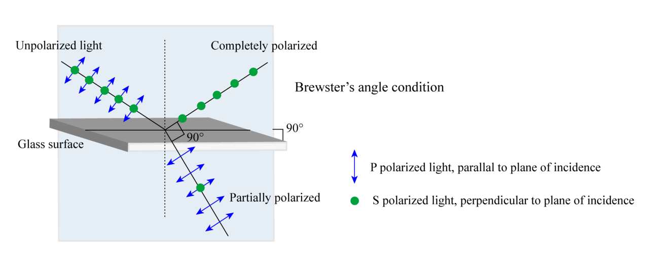Polarization (waves)