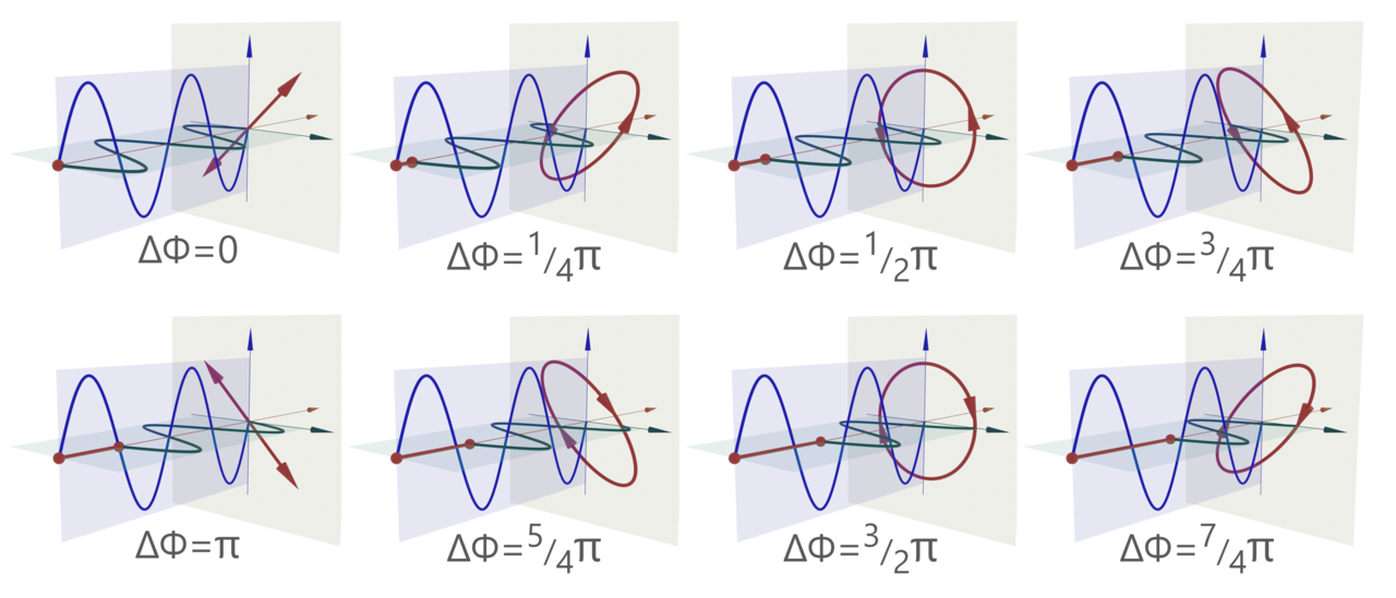 Polarization (waves)
