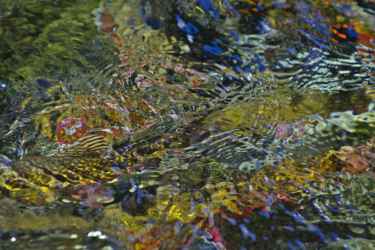Refraction