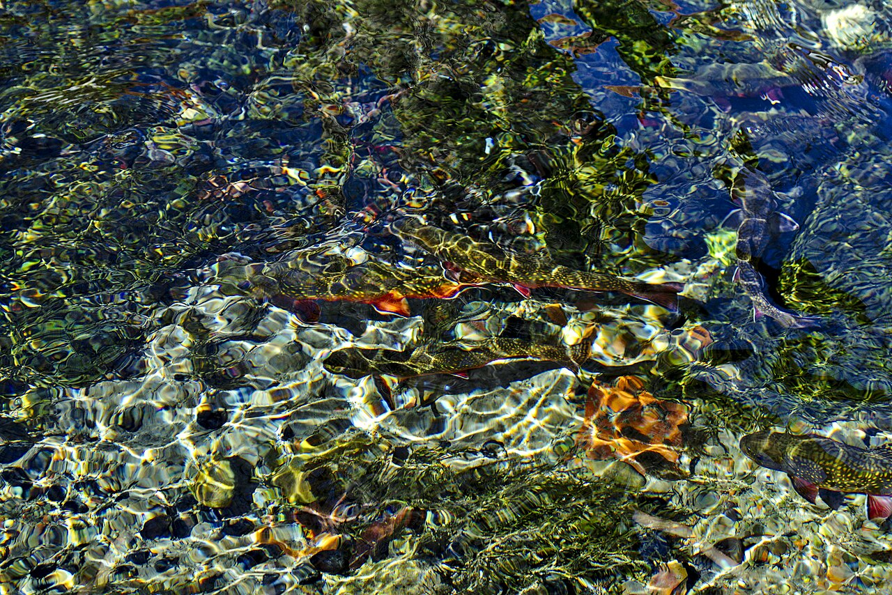 Refraction